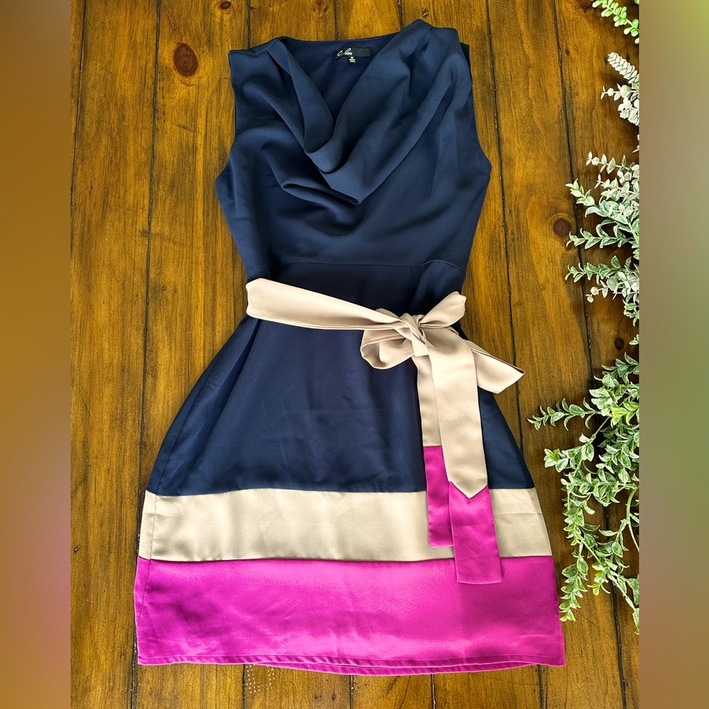 C. Aice Brand Cowl Neck Color Block Dress Size Medium